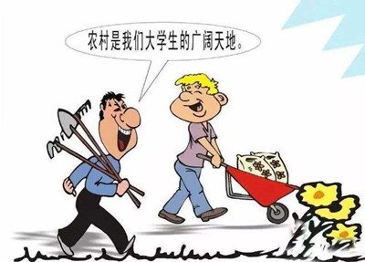 考公、考研難度高，應(yīng)屆生你還有4種選擇
