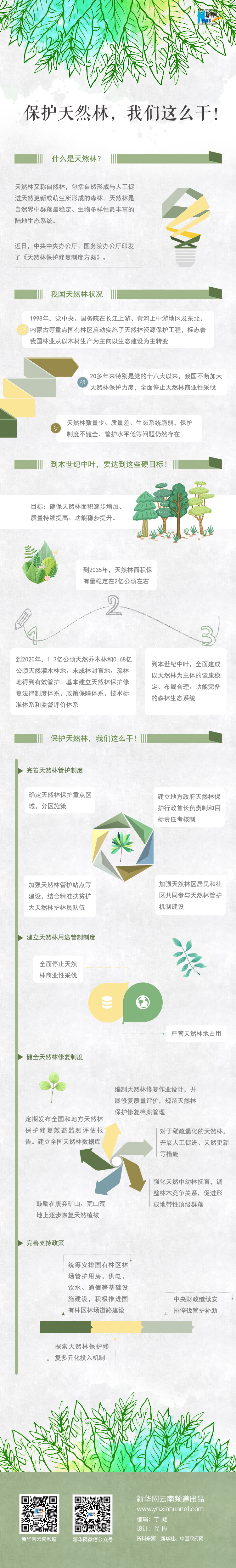 2020年國家公務(wù)員考試時政：保護天然林，我們這么干！